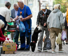 На улице Багратиона живёт знаменитый кот Васенька