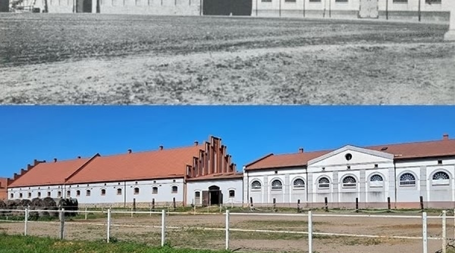 Конный завод «Веедерн»: история от основания до наших дней