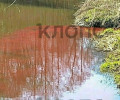 В реке Гурьевке в Гурьевске зафиксировано окрашивание воды в красный цвет