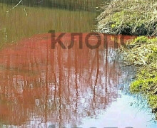 В реке Гурьевке в Гурьевске зафиксировано окрашивание воды в красный цвет