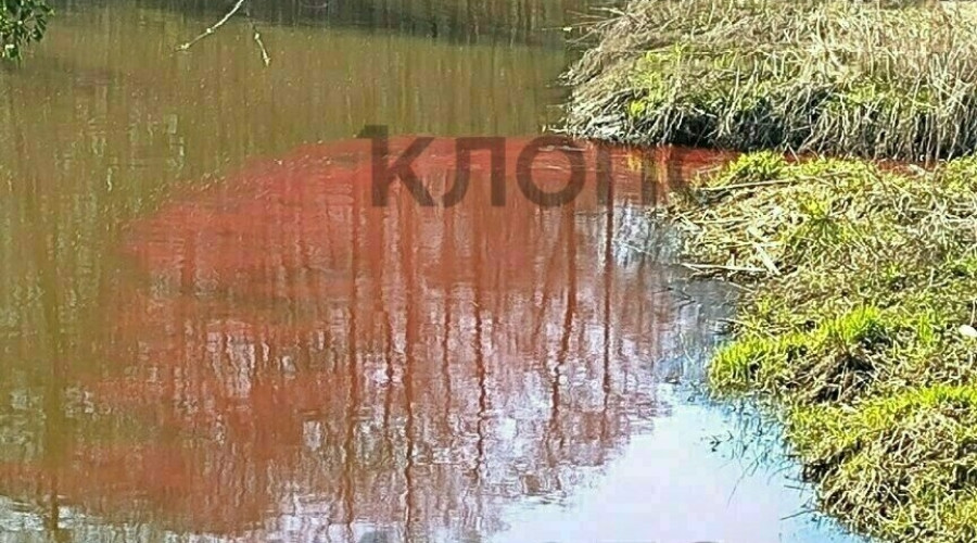 В реке Гурьевке в Гурьевске зафиксировано окрашивание воды в красный цвет