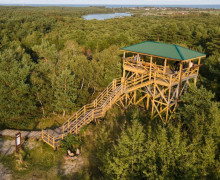 Высота Мюллера (Куршская коса)