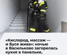 В поселке Васильково произошел пожар в квартире на четвертом этаже