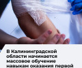 В Калининградской области запускают программу обучения первой помощи
