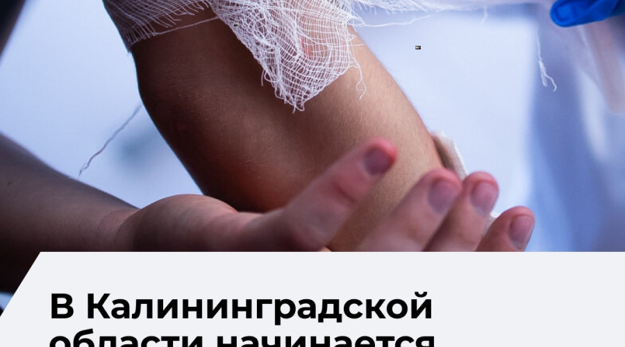 В Калининградской области запускают программу обучения первой помощи
