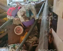 Жительница Большаково три года ждёт переселения из аварийного дома с берёзой на крыше
