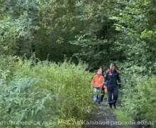 В Зеленоградском районе спасатели вывели из леса двух женщин с детьми
