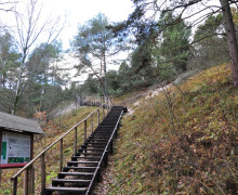 Высота Мюллера (Куршская коса)