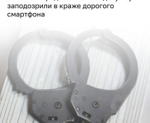 В Калининграде полиция раскрыла кражу смартфона за 100 тысяч рублей