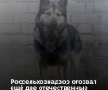 В Калининградской области приостановлено обращение ряда серий вакцин «Мультикан»