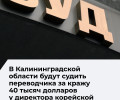 Переводчика из Подмосковья будут судить в Калининградской области за мошенничество в особо крупном размере
