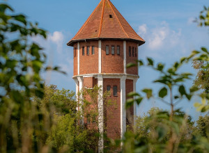 Янтарный: одинокая башня в лесу