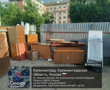 Вонь и насекомые: 6 мест в Калининграде, где в борьбе за место под солнцем выиграл мусор