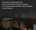 В Калининграде полиция раскрыла хищение посылок со склада маркетплейса на улице Камской