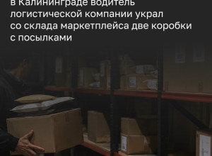 В Калининграде полиция раскрыла хищение посылок со склада маркетплейса на улице Камской