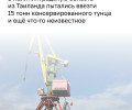 В калининградском порту задержана партия консервированного тунца массой более 15 тонн