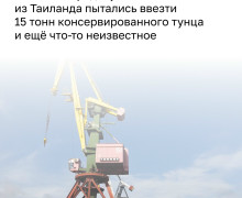В калининградском порту задержана партия консервированного тунца массой более 15 тонн