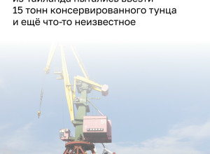 В калининградском порту задержана партия консервированного тунца массой более 15 тонн