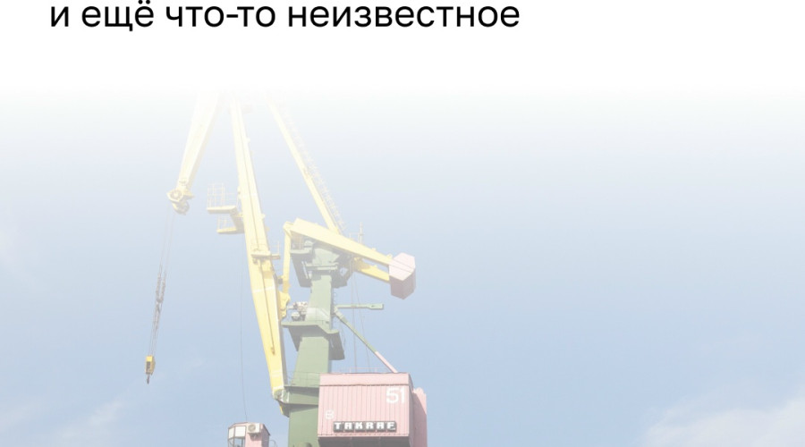 В калининградском порту задержана партия консервированного тунца массой более 15 тонн