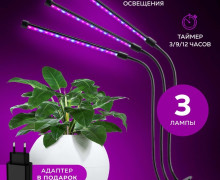 Фитолампа для растений