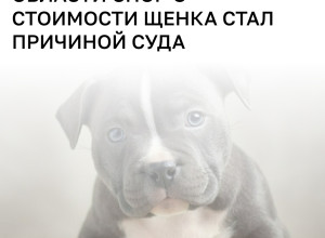 Москвичка требует взыскать долг за щенка американского булли через суд в Калининградской области