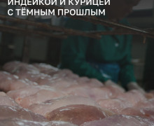 В Багратионовске задержаны две партии мяса птицы для детского питания