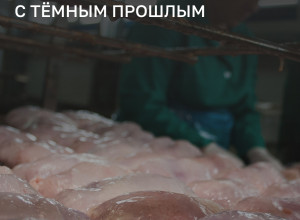 В Багратионовске задержаны две партии мяса птицы для детского питания