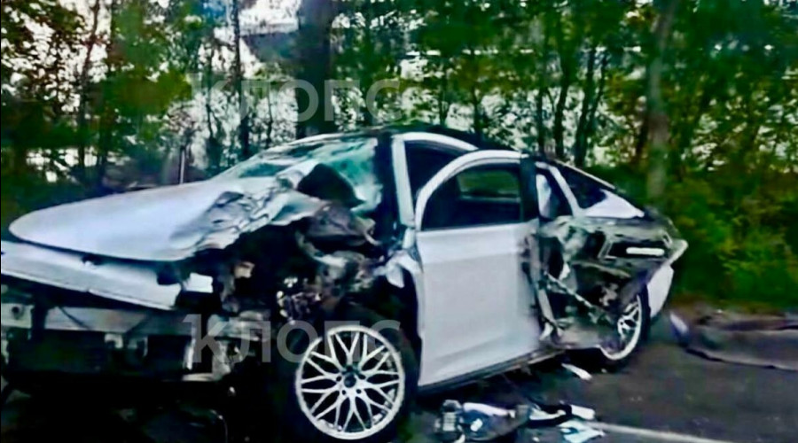 В Светлом автомобиль врезался в дерево: двое погибших, один пострадавший
