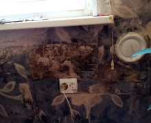 В Советске 9-летняя девочка и её бабушка живут в доме с обрушающимися потолками