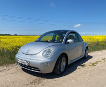 Volkswagen New Beetle, 2003