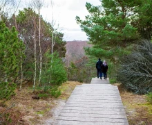 Высота Мюллера (Куршская коса)