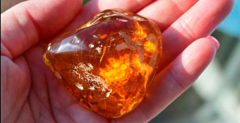 10 жителей Калининградской области пойдут под суд за незаконную добычу янтаря на 9,1 млн рублей