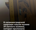 В Калининграде в квартире нашли мумифицированное тело мужчины