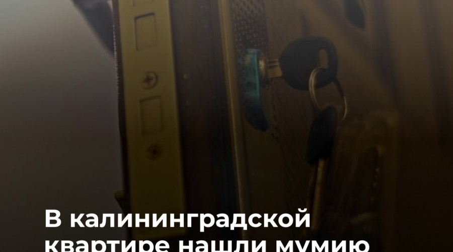 В Калининграде в квартире нашли мумифицированное тело мужчины