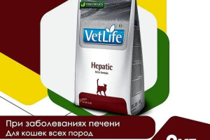 Продам Фармину гепатик для кошечки