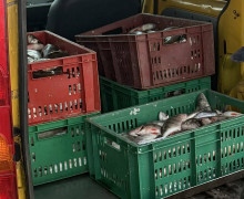 В Калининградской области трое работников судна похитили 160 кг рыбы