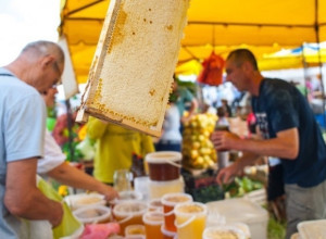 На Куршской косе пройдет праздник меда