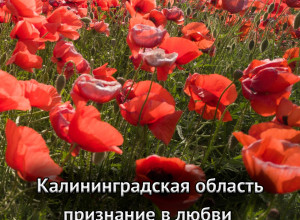 Песня из фильма «Признание в любви»: теперь доступна для скачивания