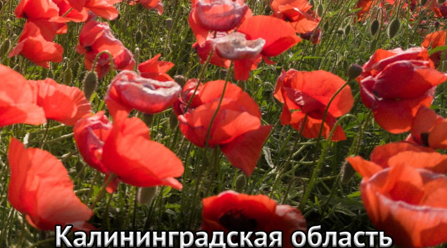 Песня из фильма «Признание в любви»: теперь доступна для скачивания