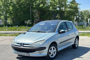 Peugeot 206, 2002