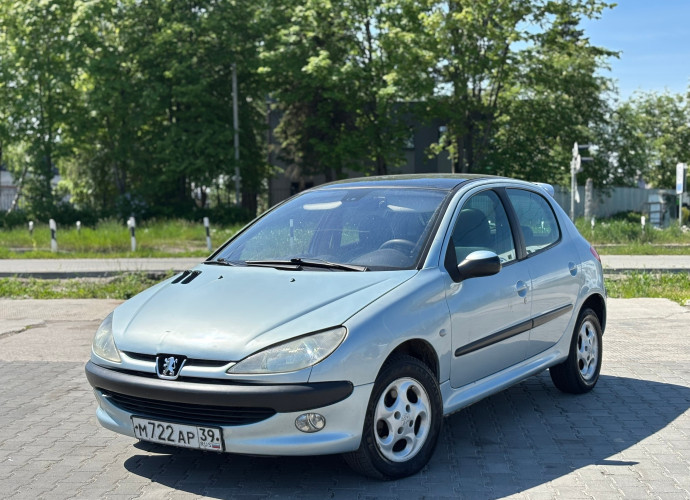 Peugeot 206, 2002