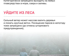 В Калининградской области объявлен режим повышенной готовности из-за штормового ветра до 32 м/с