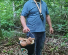 Калининградский эксперт объяснил, можно ли есть червивые грибы