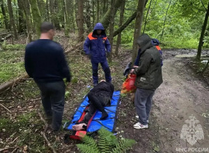 В Зеленоградском округе спасатели эвакуировали рыбака, сломавшего ногу в лесу