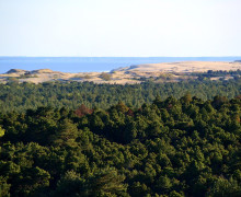 Высота Мюллера (Куршская коса)