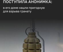 В Забарье у пенсионера изъяли боевую гранату Ф-1