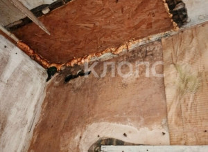 Жительница Большаково три года ждёт переселения из аварийного дома с берёзой на крыше