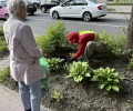 В Калининграде на улице Павлика Морозова у дома № 148 восстановили клумбу после расширения остановки