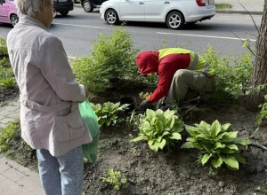 В Калининграде на улице Павлика Морозова у дома № 148 восстановили клумбу после расширения остановки