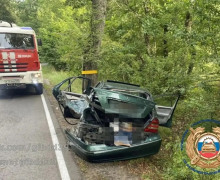 В Черняховском районе автомобиль Mercedes врезался в дерево
